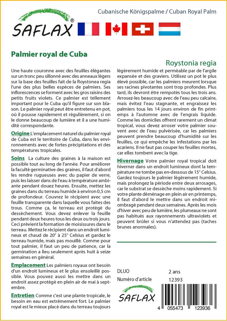 SAFLAX Cuban Royal Palm - 8 семян - С горшечным субстратом для лучшего выращивания - Roystonia regia