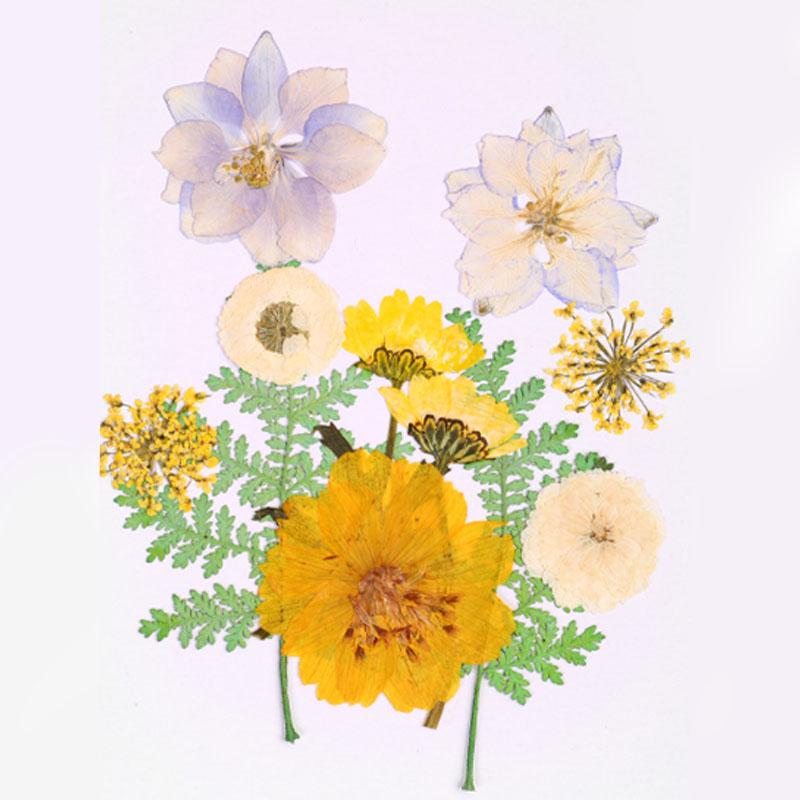 Популярные маленькие 25 шт./пакет, высокое качество, украшение для дома, сушеные цветы, прессованные цветы, консервированные цветы, сделай сам, мини-цветы ручной работы