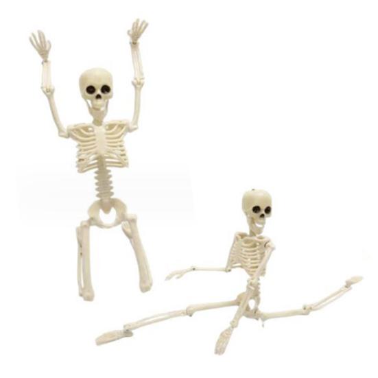 Хэллоуин Скелет всего тела Posable Суставы Реалистичные украшения человеческого скелета для вечеринки Дом с привидениями