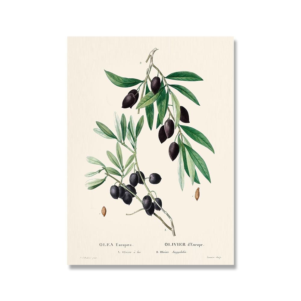 Винтажный Ретро постер с фруктами, авокадо, клубникой, скандинавский холст, картина, настенные художественные картины, принты для декора кухни и комнаты