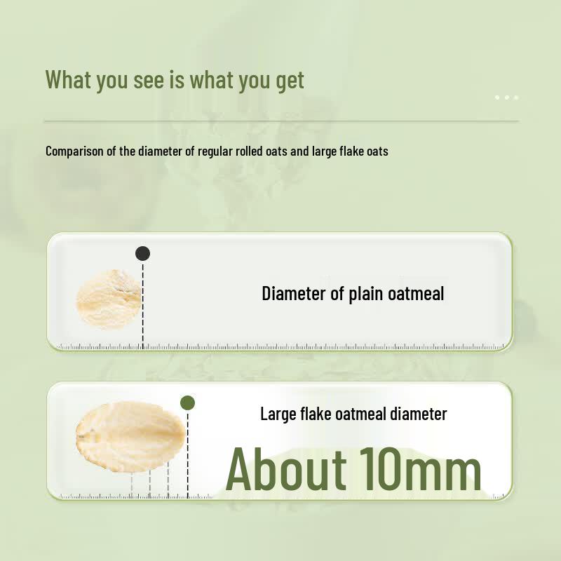 Yinshan Youmai Organic Large Particle Instant Oatmeal