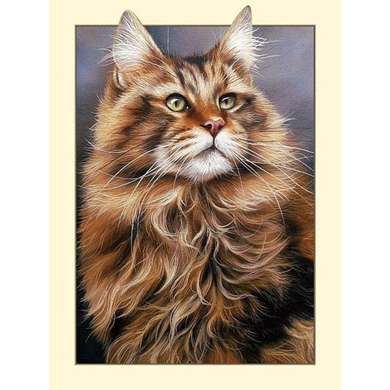 5D DIY Алмазная вышивка животное Зебра Аллигатор полная квадратная кошка алмазная живопись вышивка крестиком горный хрусталь фотографии домашний декор