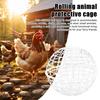 Ball-Shaped Chicken Cage Outdoor Spherical Chicken Coop Poultry Protection Cage Pigeon Rabbits Duck Safe Walking Net for Pet Safety Yard Farm Use