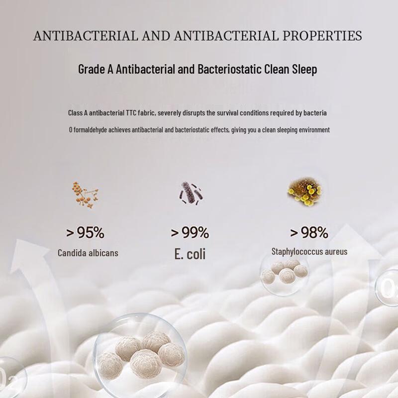 TTC Silent Anti-bacterial White Goose Feather Winter Quilt