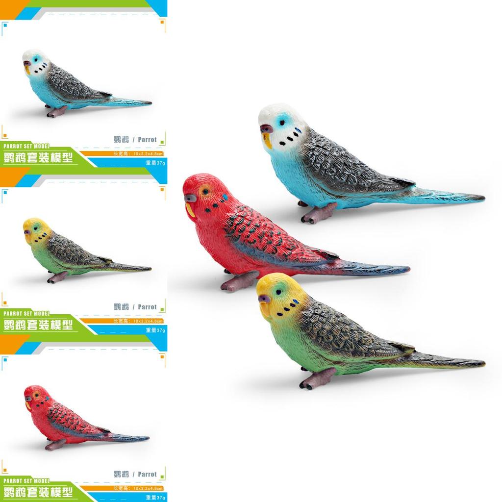 Realistic Bird Model Pvc Parrot Decorative Figurine For Kids Learning And Display