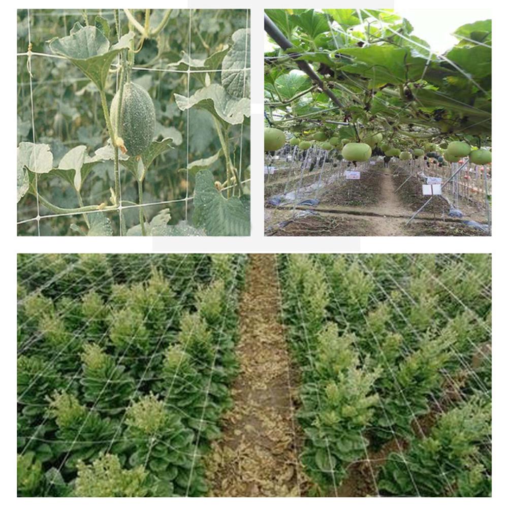 Plant Trellis Netting Polyester Climbing Net Grow Net Braided Mesh for Climbing Fruits Grapes Vegetables Cucumber Pea Bean Hydroponics Heavy-Duty