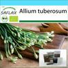 Gift Set - Organic - Garlic-Chives - 100 Seeds - With Gift Box, Card, Label and Potting Substrate - Allium Tuberosum