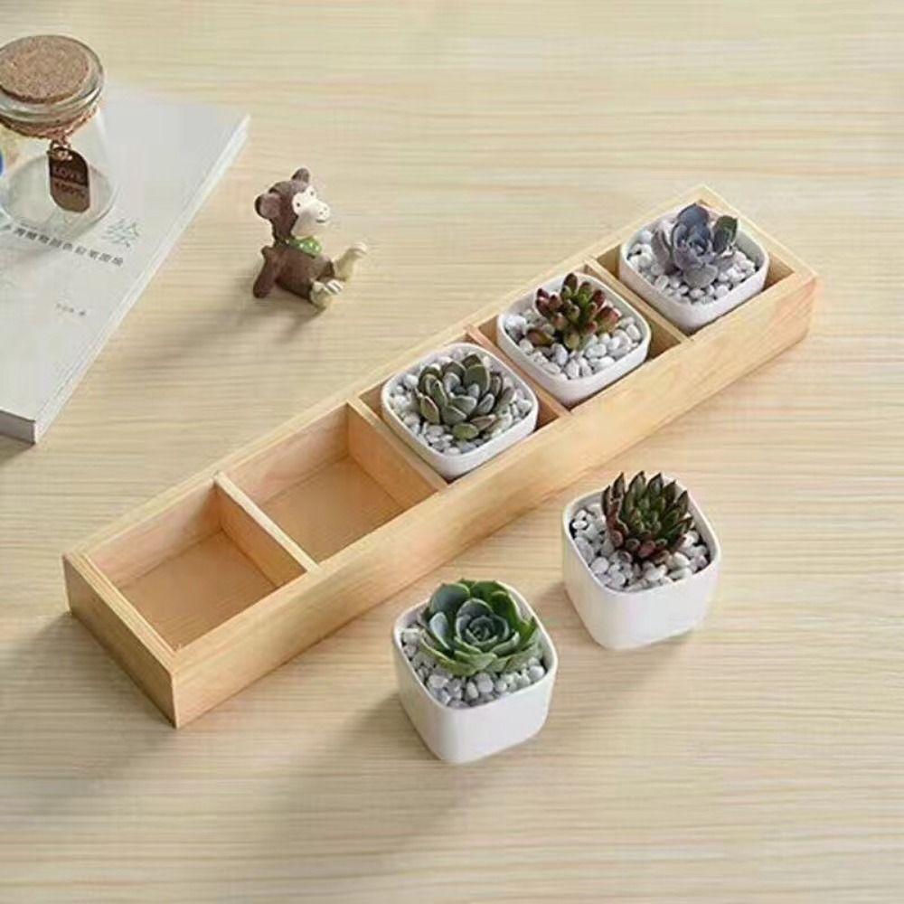 Multifunctional Succulent Flowerpot Tray Multi-grids Desktop Sundries Organizer Storage Box