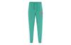 Женские вязаные спортивные штаны Poseidon Green/Light Sapphire Blue DQ6604-370