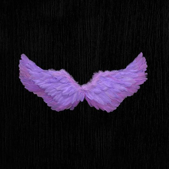 Дети Крылья Ангела Девочки Принцесса Костюм Регулируемые Перья Фея Крылья Косплей Сценическое Представление