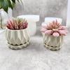 Small Flower Pot Silicone Mold Diy Succulents Concrete Flower Pot Vase Plaster Cement Clay Mold Plant Holder Mold