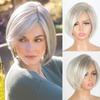 Short Silver Light Blond Synthetic Wigs Natural Straight Layered Wig with Bangs for Women Daily Cosplay Party Heat Resistant Fibre