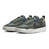 Nike SB Day One Винтажный Зеленый Масляный Зеленый Парусный Черный Детские скейт-туфли FN4210-300