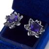 Fashionable Exquisite Compact Simple Inlaid Zircon Stud Earrings for Women Men's Personalized Zircon Accessories