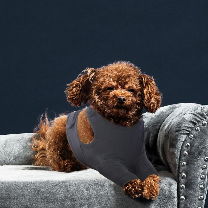 Регулируемый рукав для собачьих лапок предотвращает раны и обеспечивает тепло для восстановления после облизывания, помогает в заживлении