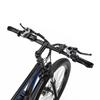 DUOTTS C29 750W 29" Electric Bike for Adults - 48V 15AH 100KM Range Shimano 21-Speed All-Terrain E-Bike