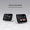 Xiaomi Smart Home Screen Mini AI Speaker