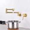 Tuqiu Foldable Pot Filler Tap Wall Mounted Brushed Gold Kitchen Faucet Hot and Cold  Black Sink Tap Rotate Folding Spout  Brass