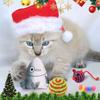 Рождественский адвент-календарь, набор игрушек для кошек, игрушка с обратным отсчетом на Рождество, 24 шт., палочка для дразнения кошек, набор игрушек для кошек, игрушка-туннель