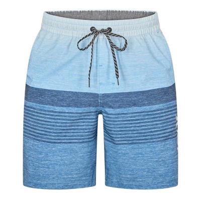 Hurley Mens Volley Ombre Stripe Swim Shorts