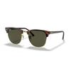 0RB3016 W0366 Япония 51 [Ray-Ban] (БЕСПЛАТНЫЙ размер)