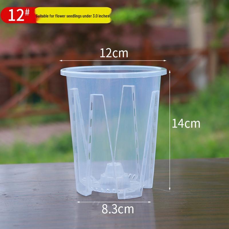 Transparent Breathable Flower Pot for Phalaenopsis and Dendrobium - Root Control Design