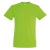 SOLS Mens Regent Short Sleeve T-Shirt
