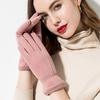 Women Suede Leather Touch Screen Driving Glove Winter Female Double Thick Plush Wrist Warm Cashmere Cute Cycling Mittens