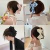 Solid Color Bow Hairpin Acrylic Hair Accessories Fashion Butterfly Satin Hair Claws  Women