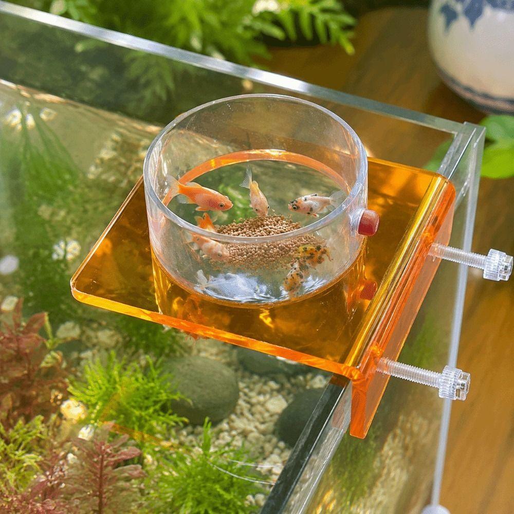 Plastic Fish Tank Feeder Fixed Point Feeding Feed Holder Saltwater Marine Tank