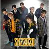 Sony Music Labels Skz2020 Обычное издание 2 CD Stray Kids
