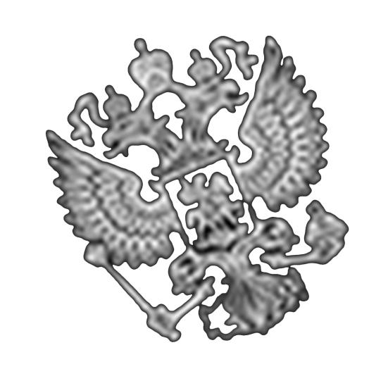 Car Auto Decals Russian Federation Eagle Emblem Phone Laptop Sticker Decor