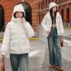 Short Hooded Down Cotton Jacket Women's Versatile Cotton Jacket Thickened Warm Padded Jacket Winter New Fashion Women's Clothing