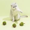 Кошачьи мятные игрушки сумки или декорированная игрушка для кошек плюшевые игрушки