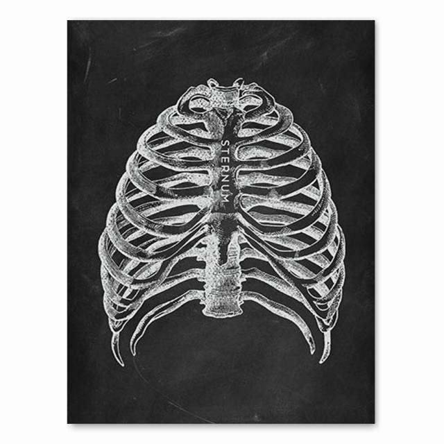 Анатомия человека, художественная работа, медицинская клиника, настенная картина, скелет, орган, мышечная система, винтажный холст с принтом, плакат для обучения телу, без рамки