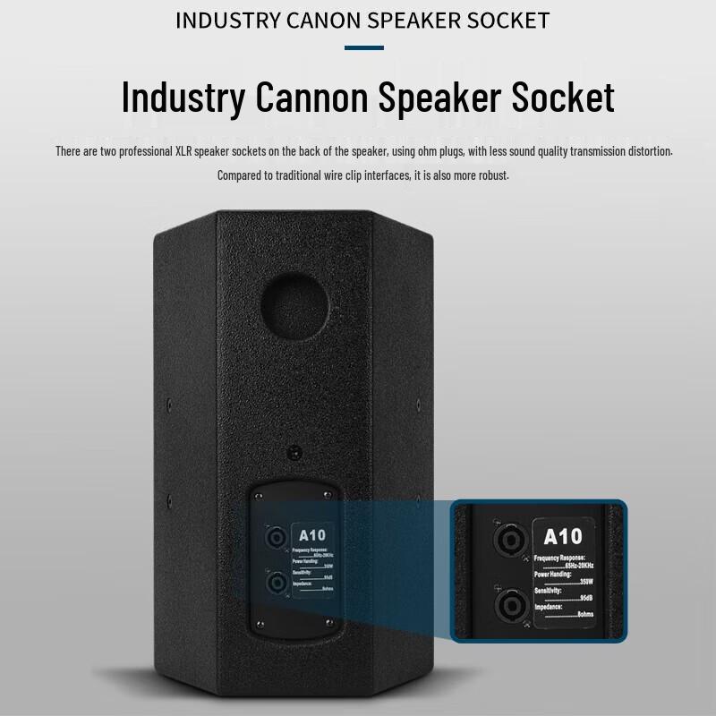 KAXISAIER Professional Passive Full-Range Speaker CN plug (adapter included) (CN version)