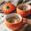 Cute Pumpkin Shape Mug Personality Ceramic Cup Coffee Cup Milk Cup Water Cup Drinking Set
