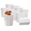 10pcs Octagonal Flowerpot Black White Plastic Solid Small Seedling Pot Desktop Succulent Decoration Combination Breathable TMZ