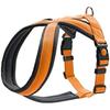 Dog Harness - HUNTER - London Comfort - Robust and Comfortable - Adjustable - Rip-stop Polyester