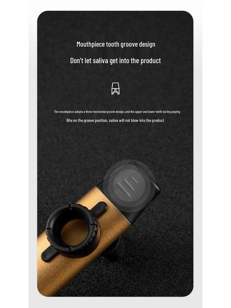 Professional Metal Kazoo Flute for Beginners - Easy Guitar Accompaniment & Unique Niche Instrument