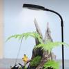LED Plant Light Rotating Full Spectrum LED Lighting With Wooden Base Indoor Plants Grow Light Desktop For Home Study Office Desk
