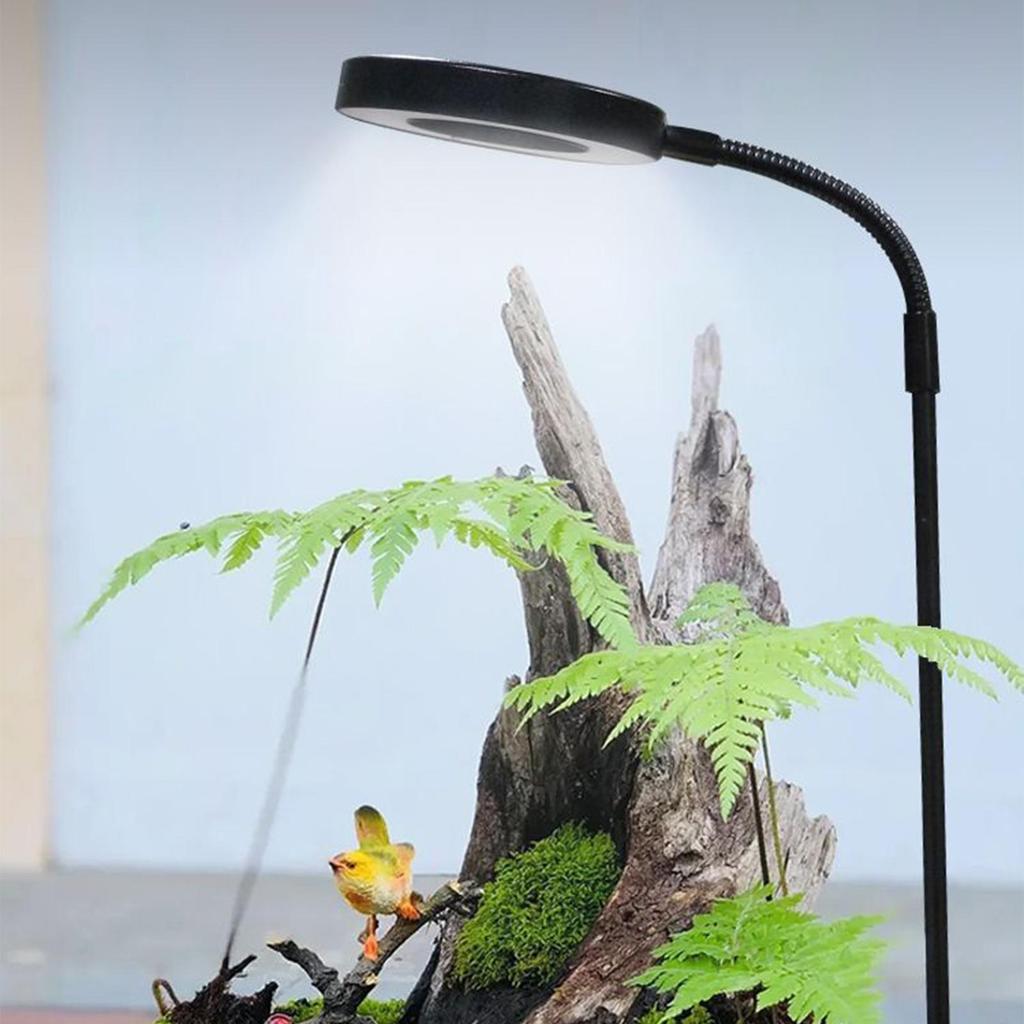 LED Plant Light Rotating Full Spectrum LED Lighting With Wooden Base Indoor Plants Grow Light Desktop For Home Study Office Desk