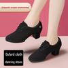 Женские туфли для латиноамериканских и бальных танцев - Мягкая подошва, Дышащие, Легкие, Идеальны для учителей, тренировок и квадратных танцев.