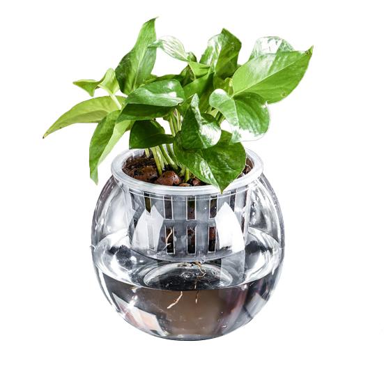 Аквапонный аквариум для рыбок петушков Прозрачный пластиковый ударопрочный горшок Экосистема Аквариум Настольная аквапонная система для домика рыбок петушков Комнатные растения