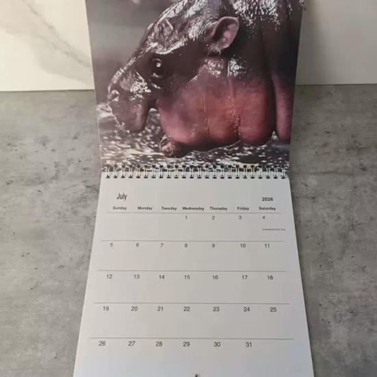 Moo Deng Calendar 2026 Pygmy Hippo Wall Calendar Monthly Planner Hanging Hippopotamus Calendar Gift for Hippo Lovers
