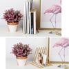 Storage Rack Multi-purpose Tidy Keeping Solid Color Triangle Shape Book Storage Shelf for Desktop