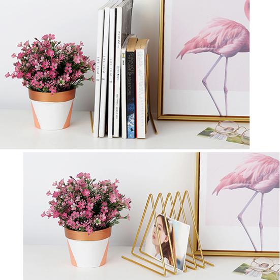 Storage Rack Multi-purpose Tidy Keeping Solid Color Triangle Shape Book Storage Shelf for Desktop
