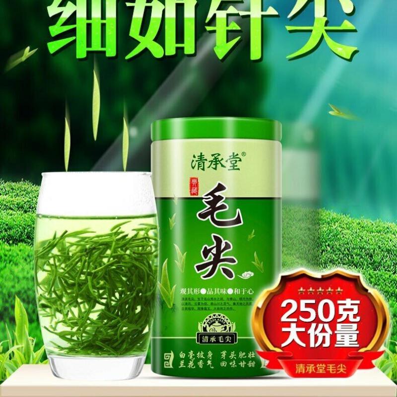 Ming Qian Premium Xinyang Maojian Tea Xin Yang Tea Mao Jian Green Tea 250g Tin