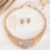 Модный комплект ювелирных изделий ожерелье серьги для женщин дамы