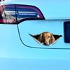 Car Stickers for Red Long-Haired Dachshund Hidden In Holes, Waterproof Irregularly Shaped Car Decoration Decals